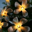 35 BULB WHITE FLOWER PARTY / CHRISTMAS STRING LIGHT