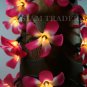 100 BULB PINK FLOWER PARTY / CHRISTMAS STRING LIGHT