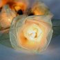 2 Packs of 35 Bulb White Rose Flower Party / Christmas String Lights
