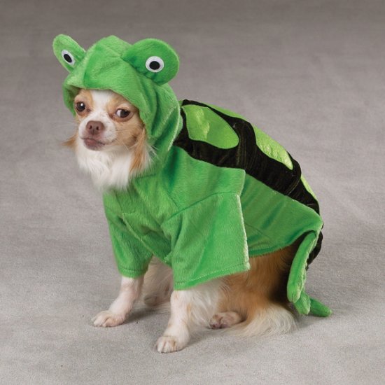 X-SMALL Turtle Pet Halloween Dog Costume