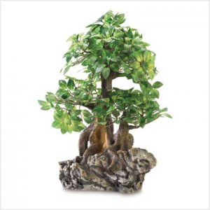 Everlasting Bonsai Tree