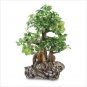 Everlasting Bonsai Tree