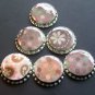 Set of 6 Retro Pink And Brown Prints Bottle Caps Great For Scrapbooking, Hair bows, Necklaces