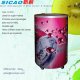 Can Cooler