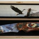 New!  Rocky Mountain Eagle Knife with display box