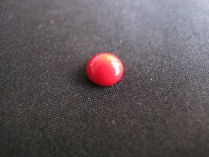 Red Coral Sea Bamboo Coral 8 mm round cabochons for jewellery making