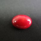 Red Coral Sea Bamboo Coral 10*15 mm Oval Cabochons for jewellery making-Free shipping
