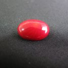 Red Coral Sea Bamboo Coral 12*16 mm Oval Cabochons for jewellery making-Free shipping
