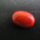 Red Coral Sea Bamboo Coral 13*18 mm Oval Cabochons for jewellery making-Free shipping