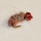 Blister Nymph