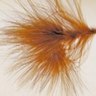 Burnt Orange Leech