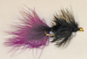 Black-Purple Wooly Bugger