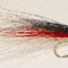 Red Sided Shiner bucktail