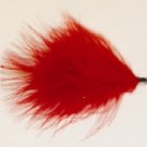 Red Leech