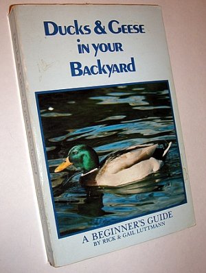 Ducks & Geese in Your Backyard Beginner's Guide to Raising Poultry