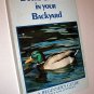 Ducks & Geese in Your Backyard Beginner's Guide to Raising Poultry