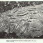 Arkansas Archeologist Archaeologist Vol 12 Complete Year 1971 Hopewellian Panpipe Hawkins Cache