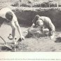 Arkansas Archeologist Archaeologist Bulletin 9 Number 1-2 Spring Summer 1968 Dumond Site