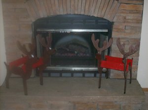 Deer