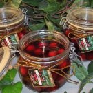 Cranberry1