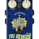 Free Shipping Biyang Babyboom RV-10—Stereo Reverb Guitar Effect Pedal