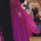 Raspberry Ballroom Dress