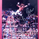 SCOTT HALL RAZOR RAMON SHAWN MICHAELS Signed 8x10 Photo Wrestlemania X Ladder