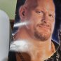 WWF Attitude Era Poster Jericho Rock Triple H Stone Cold Steve Austin 2000 27x39