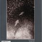 LensWork No. 77 July - August 2008  Photography  Articles Original Paper Magazine  Back Issue