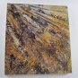 Anselm Kiefer German Artist Exhibition Catalog By Mark Rosenthal  Art Instute of Chicago 1987