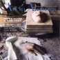 ART IN AMERICA November 2010 Paintings Drawings Contemporary Art Work Magazine Back Issue