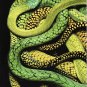 Christie's Photographs Auction Catalog Chromogenic Gelatin Silver Prints Guido Mocafico London 2011