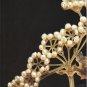 Sotheby's Fine Art Nouveau and Symbolist Jewellery The Ritman Collection Auction Catalog1995