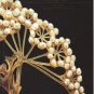 Sotheby's Fine Art Nouveau and Symbolist Jewellery The Ritman Collection Auction Catalog1995