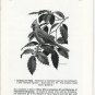 The Old Print Shop Portfolio Volume LV Number 5 Christmas Suggestions Printmaker Catalog Softcover