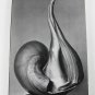 EW 100:  Centennial Essays in Honor of Edward Weston Collection of Essays and Photos softcover 1986