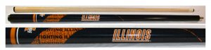Illionois - Blizzard Billiard Cue Stick