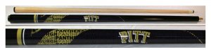 Pitt - Blizzard Billiard Cue Stick