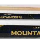 West Virginia - Blizzard Billiard Cue Stick