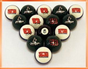 Dale Jr Billiard Ball Set