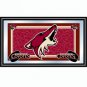 Coyotes - NHL Framed Team Logo Mirror