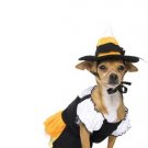 2PC Candy Corn Kandy Korn Witch Cute Dog Halloween Pet Costume Leg Avenue Style# 21008-MULTI-M