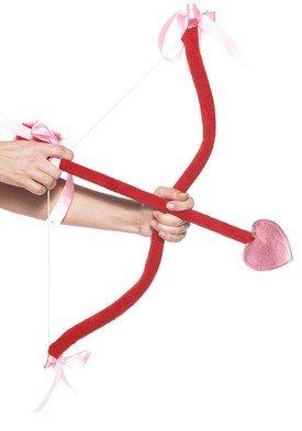 2PC Cupid's Kit with Bow and Arrow Halloween Costume Party Accessory Leg Avenue Style# 2072-RED-OS