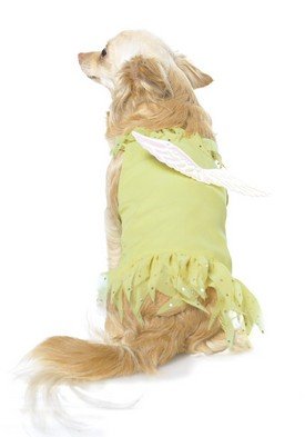 2PC Peter Pan's Tinkerbell Cute Dog Halloween Pet Costume Leg Avenue Style# 21013-YEL-M