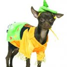 2PC Wizard of Oz Scarecrow Pet Costume Cute Dog Halloween Pet Costume Leg Avenue Style# 21009-ORGGRN