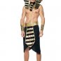 6PC Egyptian King Tut Sexy Halloween Party Costume Leg Avenue Style# 83353-BLKGLD-OS