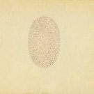 Devendra Banhart Nino Rojo CD FREE SHIPPING