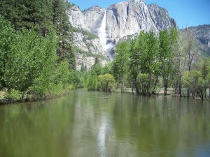 Yosemite Falls 11x14