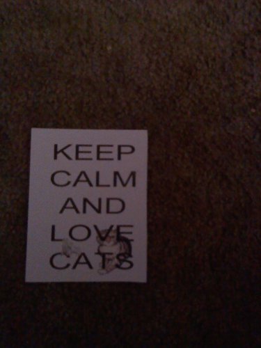 Set of 20 postcards "Keep Calm and Love Cats"