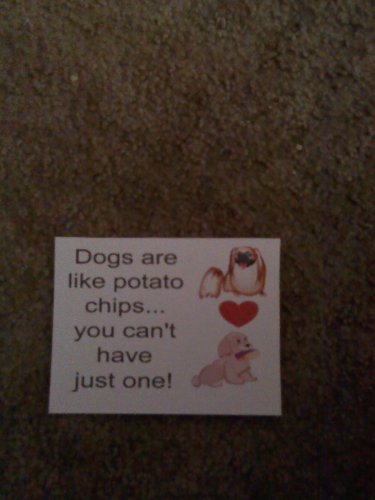 Set of 20 postcards "Dogs are like potato chips"